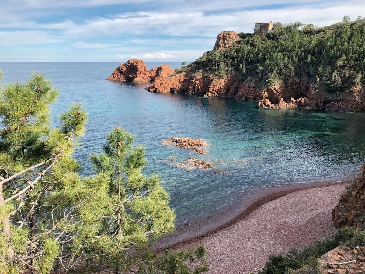 Charming Family 2br - Prime Location, Walk To & Shopping - Totolulu Charming Cheminee Apartment Cannes
